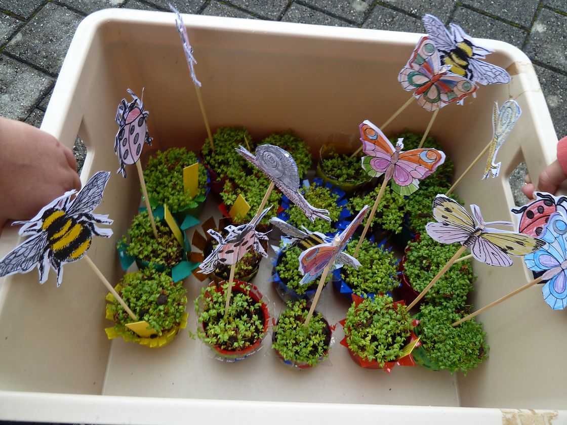Kressetöpfchen fürs Klima